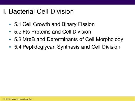 PPT - I. Bacterial Cell Division PowerPoint Presentation, free download - ID:801937