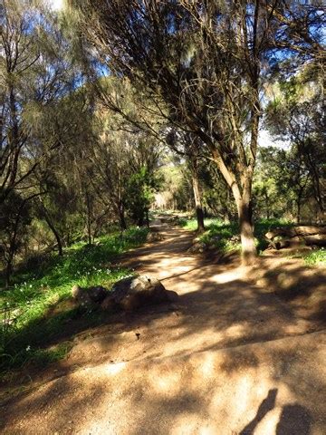 Zig Zag Track - Aussie Bushwalking