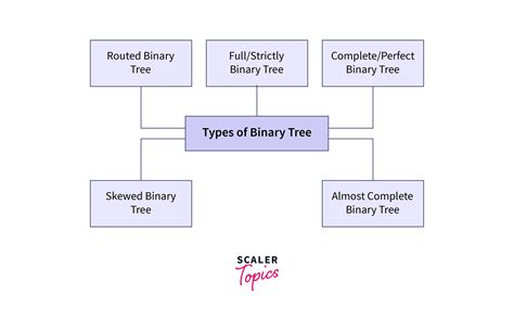 Types of Binary Tree - Scaler Topics