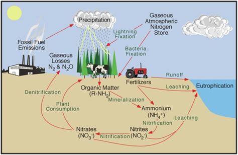 Nitrates in Drinking Water - AquaNui Home Water Distillers