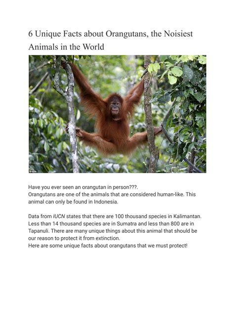 SOLUTION: 6 unique facts about orangutans the noisiest animals in the world - Studypool