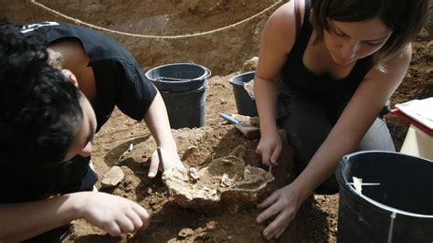 Fossil bones belonging to mysterious ancient human found in Israel ...