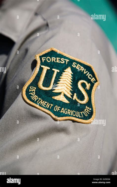 US Forest Service Patch Stock Photo - Alamy