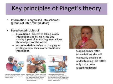 PPT - Piaget’s 4 Stage Theory on Cognitive Development PowerPoint ...