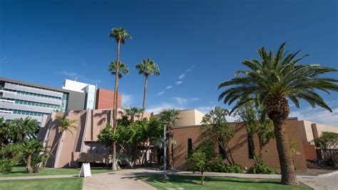 The College welcomes new leaders to ASU this fall | ASU News