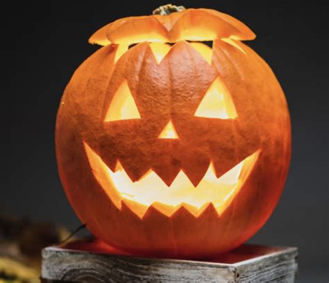 Happy National Pumpkin Day: Here’s How You Can Celebrate