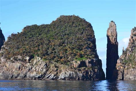 Tasman Island Cruise : One of Our All Time Favourite Travel Experiences - Four Around The World