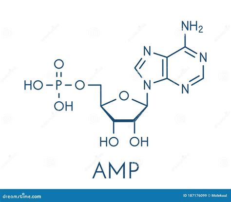 Adenosine Monophosphate AMP, Adenylic Acid Molecule. Nucleotide Monomer of RNA. Composed of ...