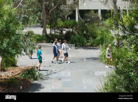 National Gallery of Australia Sculpture Garden, Canberra, Australian ...