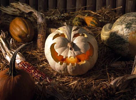 Gray Halloween Pumpkin decor HD wallpaper | Wallpaper Flare