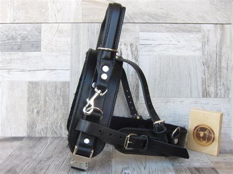 Custom Rigid Handle for your Service Dog Harness – YupCollars