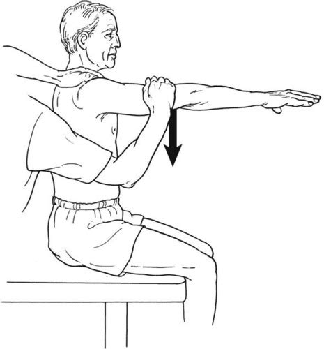 Shoulder Flexion Muscles