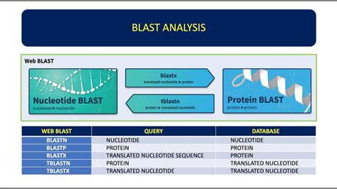 How To Analyze DNA Sequence Using BLAST | Basic Local Alignment Search Tool 👨🏻‍💻🧬 - YouTube