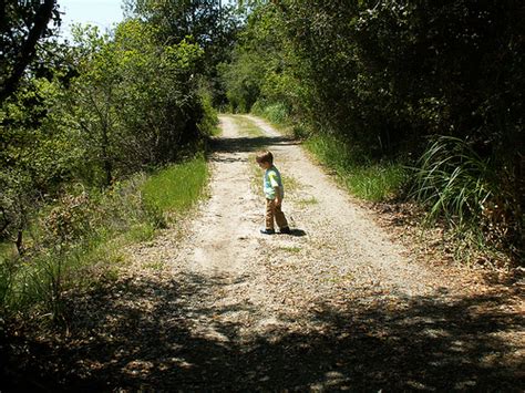 Explore: Santa Cruz Mountains