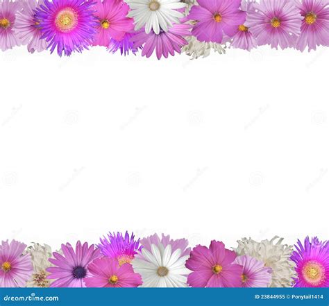 Border Of Spring And Summer Flowers Royalty Free Stock Photo - Image: 23844955