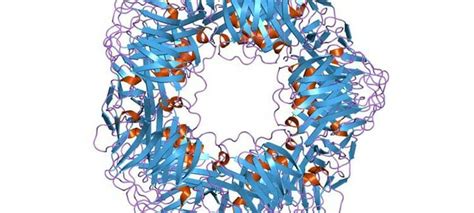 Proteína C reactiva (PCR): qué es y valores normales