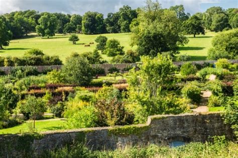 Helmsley Walled Garden | History & Beautiful Photos