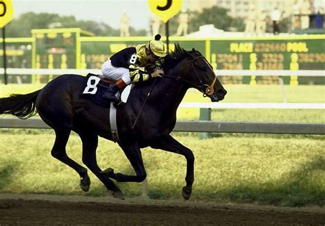 Seattle Slew | Horses, Triple crown, Triple crown winners