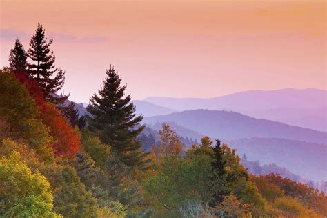 Great Smoky Mountains Fall Foliage 2025 - Jacki Letizia