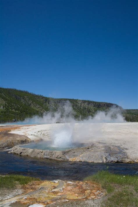 Geothermal Features of Yellowstone National Park Stock Photo - Image of pine, steam: 108962418