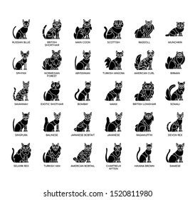 6 Singpura Images, Stock Photos & Vectors | Shutterstock