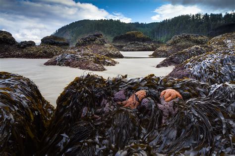 Indian Beach @ Ecola State Park - Cannon Beach, Oregon (ex… | Flickr