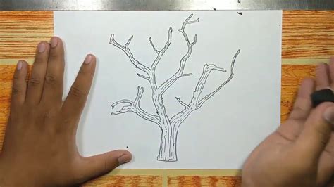 How to draw TREE BRANCHES step by step - YouTube