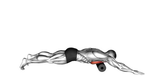 Pec Foam Rolling: Ultimate Exercise Guide & Tips