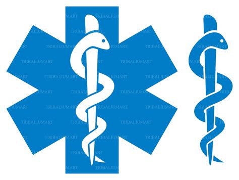 Medical Snake Logo Gold Clip Art Library - vrogue.co