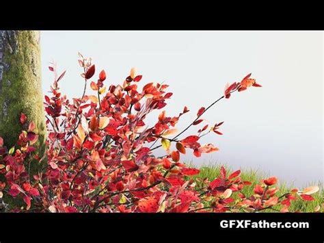 Unity Assets The Vegetation Engine v12.4.0 – GFXFather