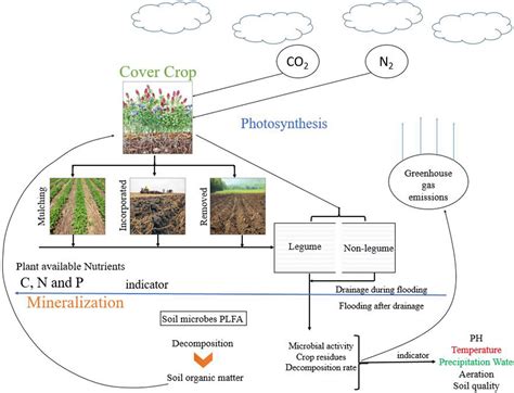 Frontiers | Regulation of Soil Microbial Community Structure and ...