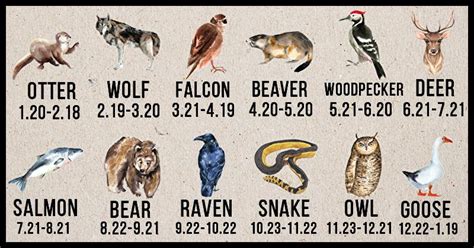 Native American Spirit Guide Animals