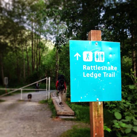 Run-Hike-Play: Rattlesnake Ledge Hike Family Hike