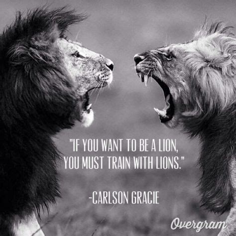 Powerful Beast Quotes to Awaken Your Inner Strength