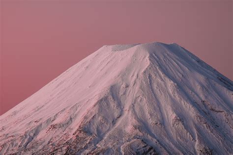 Whakapapa on Behance