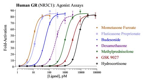 Glucocorticoid Receptor (GR; NR3C1) - INDIGO Biosciences