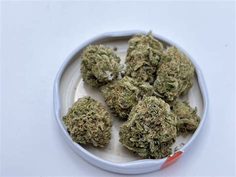 High Plains Drifter Strain Review | Sativa-Dominant Hybrid