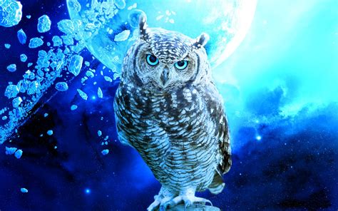 Cute Owl Background - WallpaperSafari