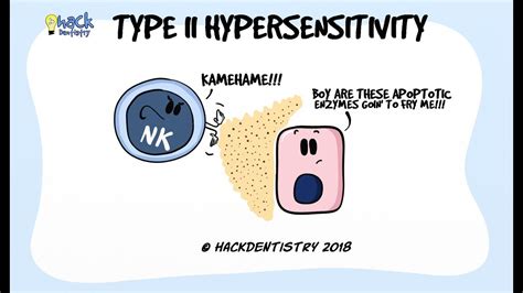 Top 99 + Type 2 hypersensitivity animation - Lestwinsonline.com