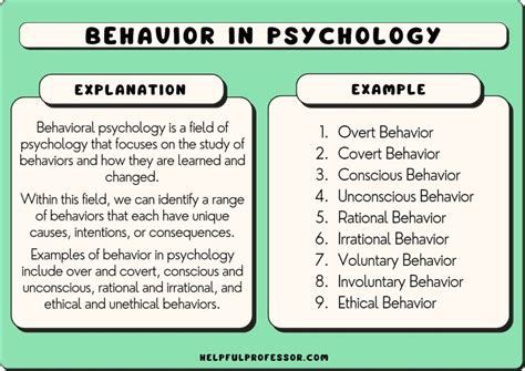 15 Types of Behaviors (2024)