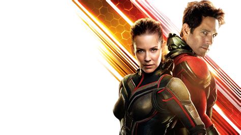 Ant-Man and the Wasp 4K 8K Wallpapers | HD Wallpapers | ID #24567