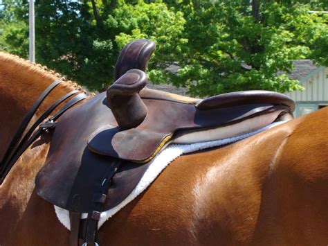 10 Different Types of Horse Riding Saddles | HowTheyPlay