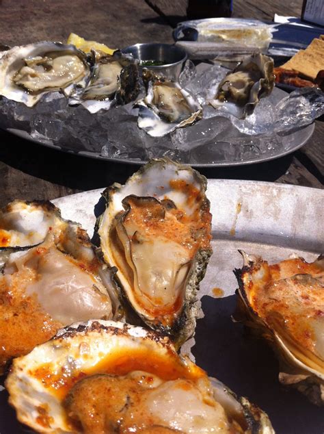 An Afternoon at Hog Island Oyster Farm in Tomales Bay