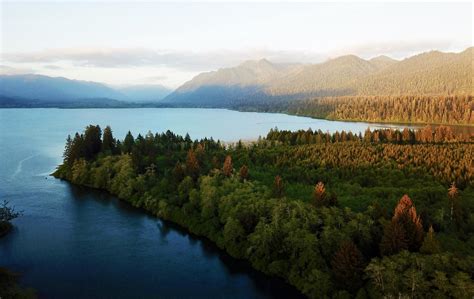 Lodging at Lake Quinault, WA | Quinault River Inn