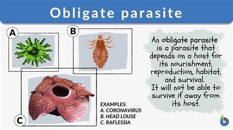 Obligate parasite - Definition and Examples - Biology Online Dictionary