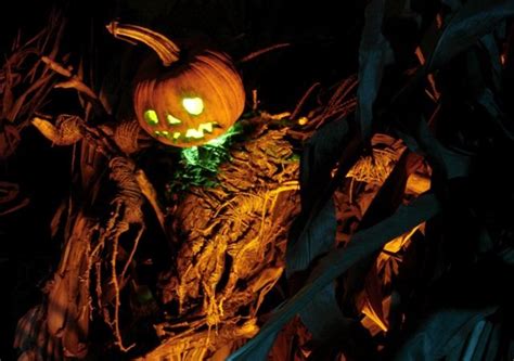 PUMPKINROT.COM: What's Brewing Halloween Props, Awsome, Pumpkin Carving, Brewing, Witch, Coffin ...