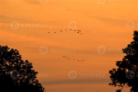 birds flying into sunset sky 18849352 Stock Photo at Vecteezy