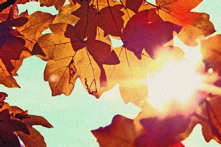 Autumn | Today was a wonderful sunny autumn day to take pict… | Flickr