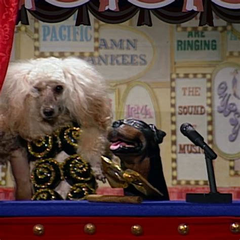 Triumph The Insult Comic Dog's First Appearance | Conan Classic