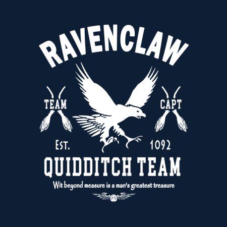 Ravenclaw Quidditch Team Captain - NeatoShop